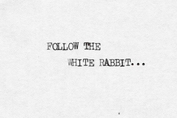 FOLLOW THE WHITE RABBIT... 