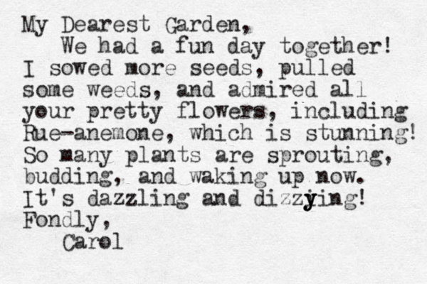 My Dearest Garden, We had a fun day together! I sowed more seeds, pulled some weeds, and admired all your pretty flowers, including Rue-anemone, which is stunning! So many plants are sprouting, budding , and waking up now. It's dazzling and dizzi y y ying! Fondly, Carol 