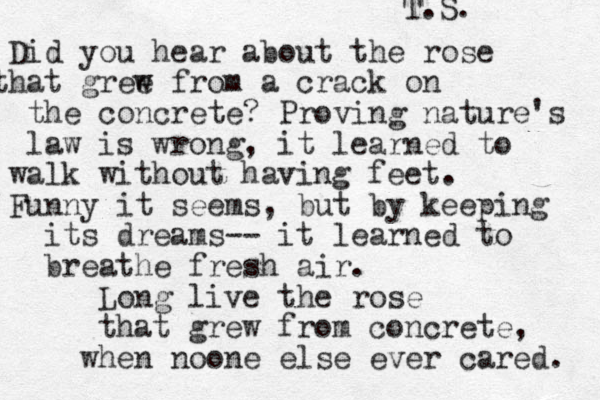 Did you hear about the rose that gree w from a crack on the concrete? Proving nature's law is wrong, it learned to walk without having feet. Funny it seems, but by keeping its dreams-- it learned to breathe fresh air. Long live the rose that grew from concrete, when noone else ever cared. T. S. 