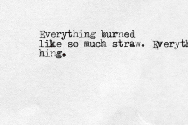 Everything burned like so much straw. Everythin hing.