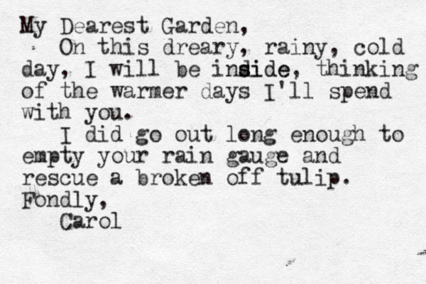 My Dearest Garden, On this dreary, rainy, cold day, I will be indide s s side, thinking of the warmer days I'll spend with you. I did go out long enough to empty your rain gauge and rescue a broken off tulip. Fondly, Carol