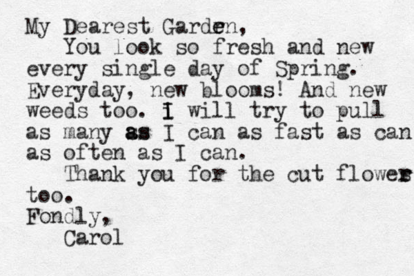 My Dearest Gardrn, e e You look so fresh and new every single day of Spring. Everyday, new blooms! And new weeds too. i will I I try to pull as many ss a as I can as fast as can as often as I can. Thank you for the cut flowes r r too. Fondly, Carol