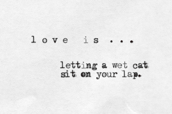 l o v e i s . . . letting a wet cat sit on your lap. 