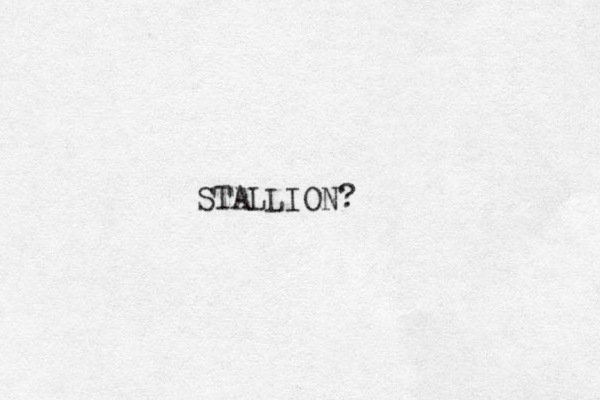 STALLION?