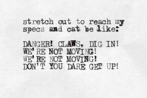 stretch out to reach my specs and cat e b like: DANGER! CLAWS, DIG IN! WE'RE O N T MOVING! WE'RE OT N MOVING! DON'T YOU DARE GET UP! 
