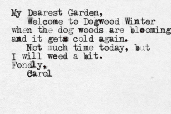My Dearest Garden, Welcome to Dogwood Winter when the dog woods are blooming and it gets cold again. Not much time today, but I will weed a bit. Fondly, carol C