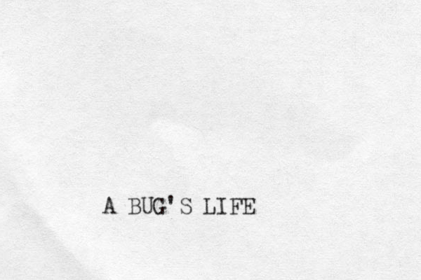 A BUG'S LIFE 