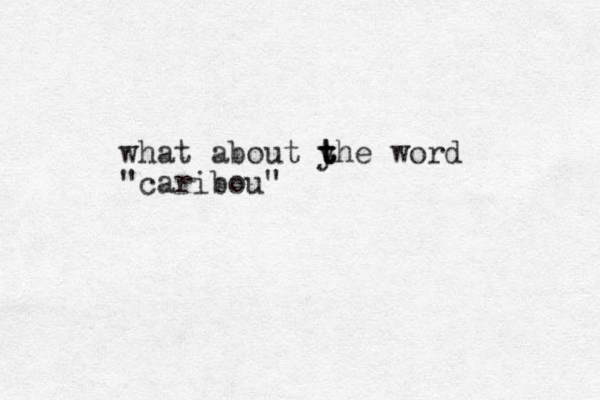 what about yhe t t t word "caribou" 