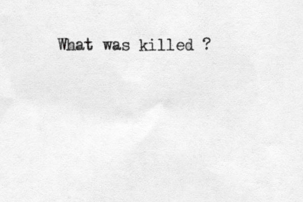 What was killed ?