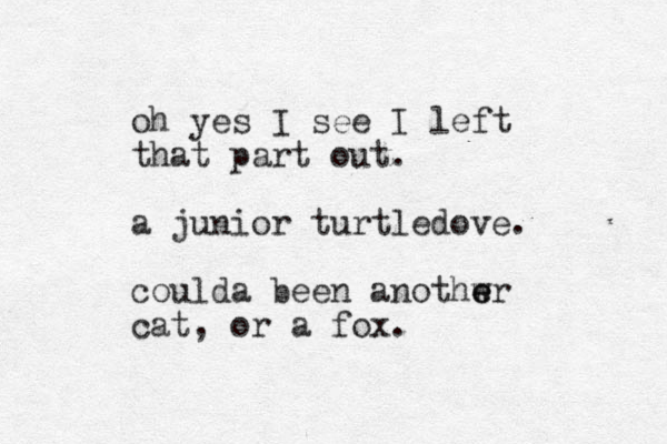 oh yes I see I left that part out. a junior turtledove. coulda been anothwr e e cat, or a fox.