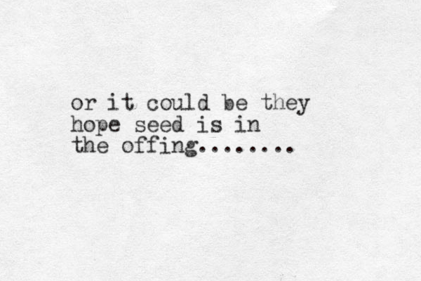 or it could be they hope seed is in the offing........