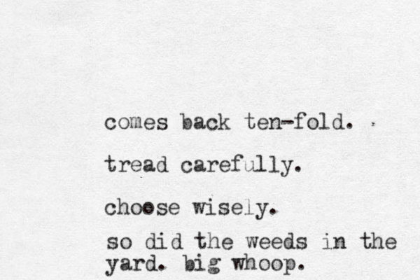 comes back ten-fold. tread carefully. choose wisely. so did the weeds in the yard. big whoop. 