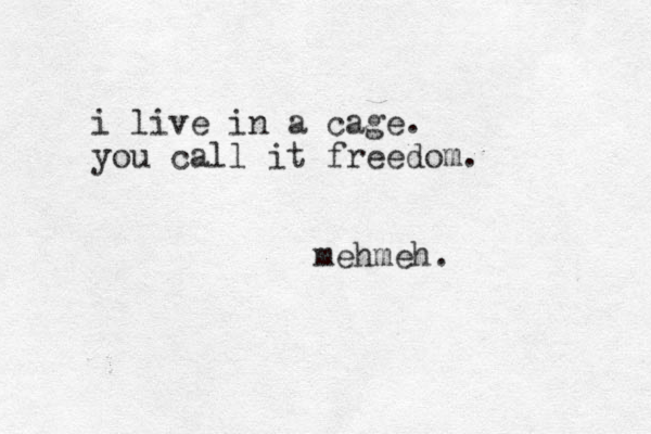 i live in a cage. you call it freedom. mehmeh. 