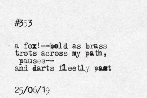 #353 a fox!--bold as brass trots across my path, pauses-- and darts fleetly past 25/06/19