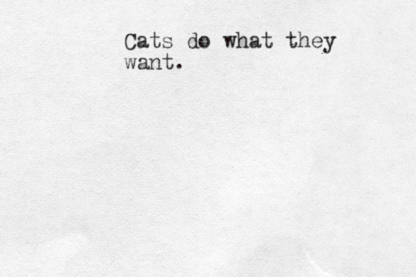 Cats do what they want.