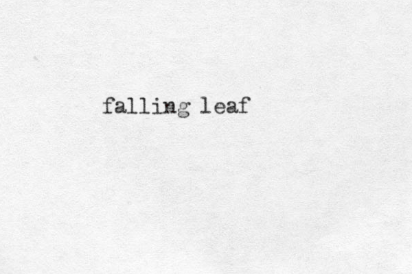 falling leaf