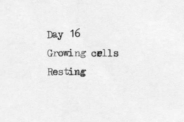 Day 16 Growing crl e e ls Resting