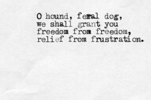 O hound, feral dog, we shall grant you freedom from freedom, relief from frustration. O