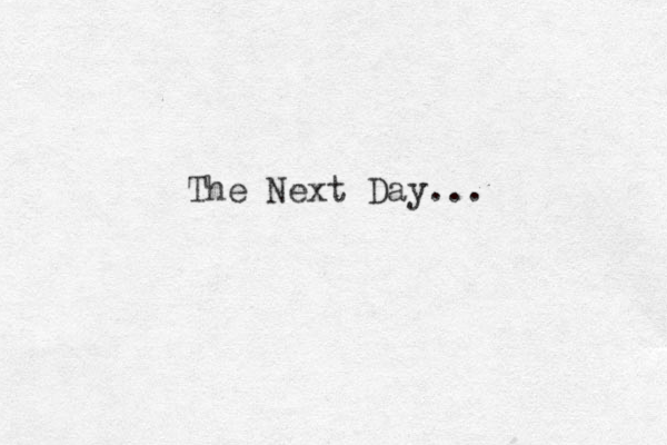 The Next Day...