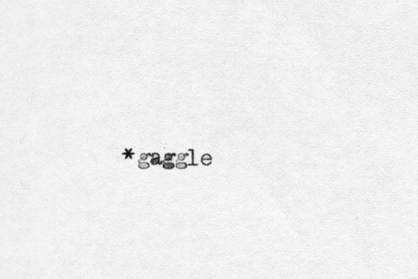*gaggle