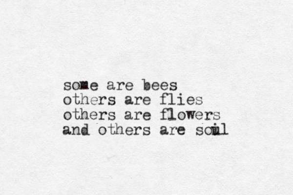 some are bees others are flies others are flowers and others are soul i 