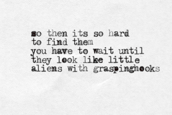 so then its so hard to find them you have to wait until they look lie ke little aliens with graspinghooks 