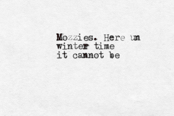 Mozzies. Here un winter time it cannot be