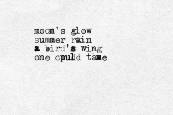 moon 's glow summer rain x a a bird's wing one cpul oud ld tame