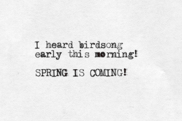 I heard irds b ong early this morning! SPRING IS COMING! 