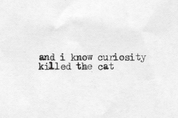 and i know curiosity killed the cat 