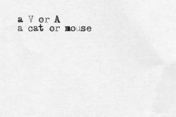 a V or A a cat or mouse