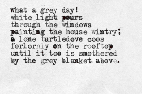 what a grey day! white light pours through the windows painting the house wintry; o a lone turtledove coos forlornly on the rooftop until it too is smothered by the grey blanket above. 