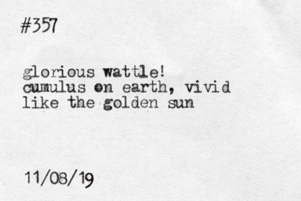 #357 glorious wattle! cumulus on earth, vivid like the golden sun 11/08/19