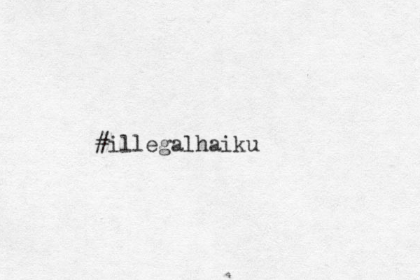 #illegalhaiku