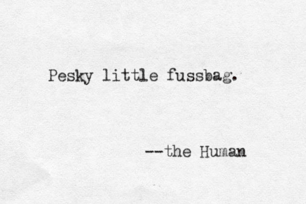 Pesky little fussbag. --the Human