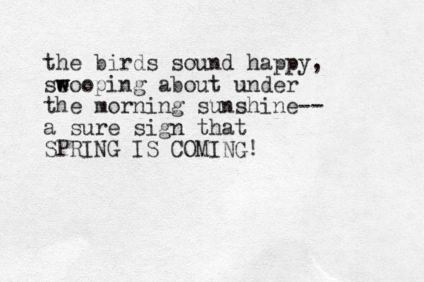 the birds sound happy, se w wooping about under the morning sunshine-- a sure sign that SPRING IS COMING!