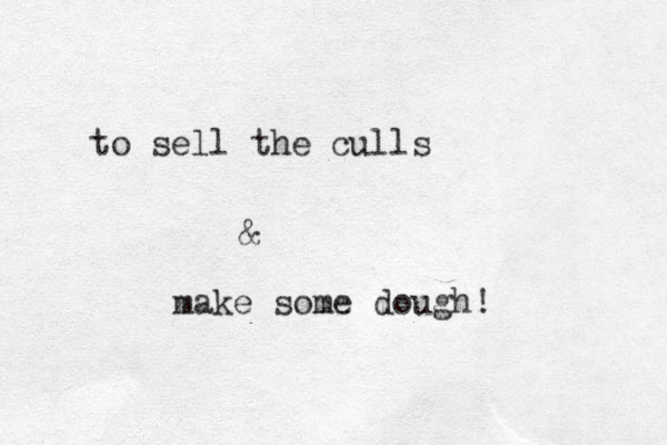 to sell the culls & make some dough!