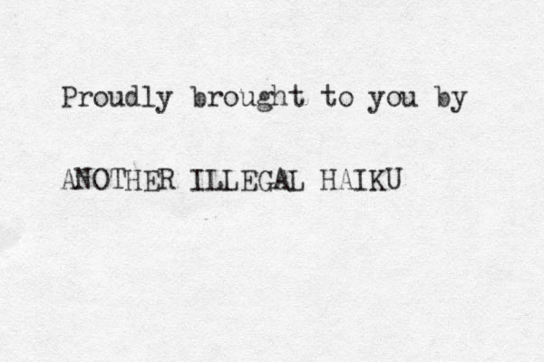Proudly brought to you by ANOTHER ILLEGAL HAIKU