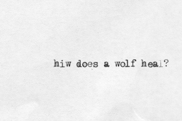 hiw does a wolf heal? 