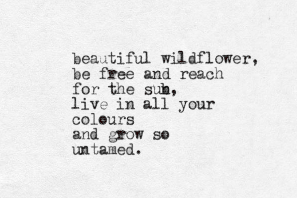 beautiful wildflower, be free and reach for the sub n, live in all your colours and grow so untamed.