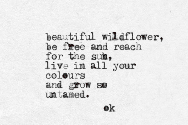 beautiful wildflower, be free and reach for the sub n, live in all your colours and grow so untamed. ok
