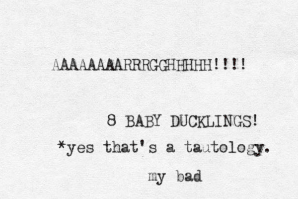 AAAAAAAARRRGGHHHHH!!!! 8 BABY DUCKLINGS! *yes that's a tautology. my bad 