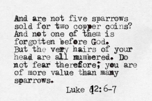 And are not five sparrows sold for two copper coins? And not one of them is forgotten before God. But the very hairs of your head are all m n numbered. Do not fear theredore f f ; you are of more value than many soarrows. p p Luke q 12 1 1 1 :6-7 1 1 1 