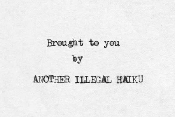Brought to you by ANOTHER ILLEGAL HAIKU 
