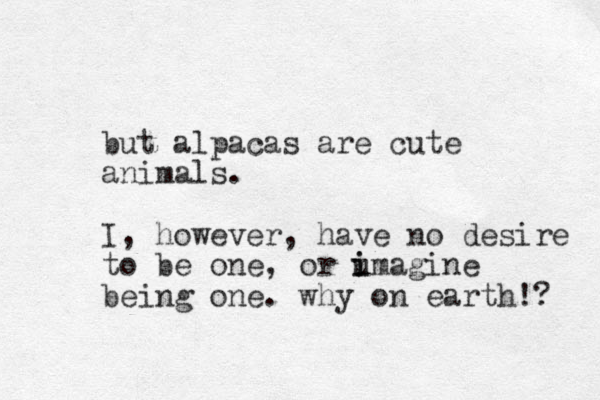 but alpacas are cute animals. I, however, have no desire to be one, or u i imagine being one. why on earth!? 