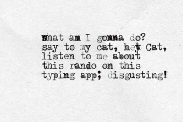 shat am w I gonna do? say to my cat, het y Cat, listen to me about this rando on this typing app; disgusting! 