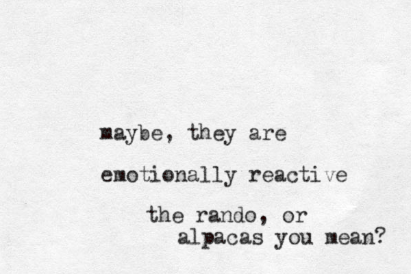 maybe, they are emotionally reactive the rando, or alpacas you mean? 