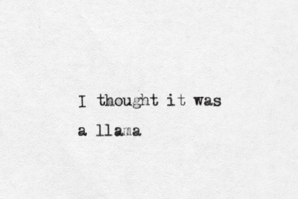 I thought it was a llama