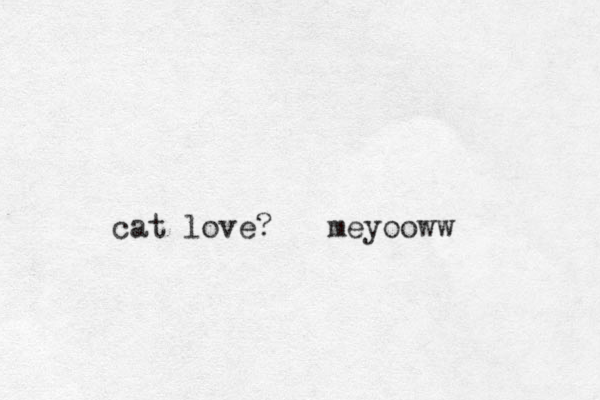 cat love? meyooww