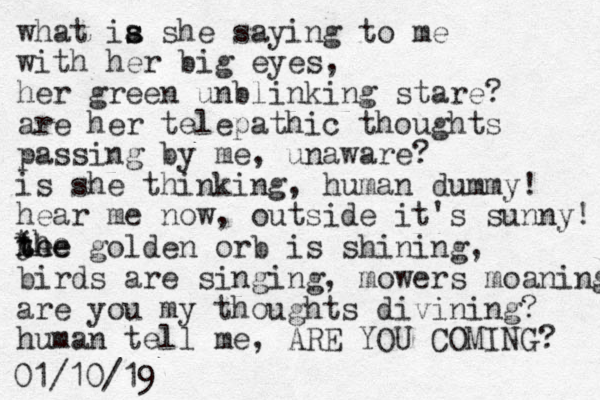 what ia s s she saying to me with her big eyes, her green unblinking stare? are her telepathic thoughts passing by me, unaware? is she thinking, human dummy! hear me now, outside it's sunny! he the j the the golden orb is shining, birds are singing, mowers moaning are you my thoughts divining? human tell me, ARE YOU COMING? 01/10/19